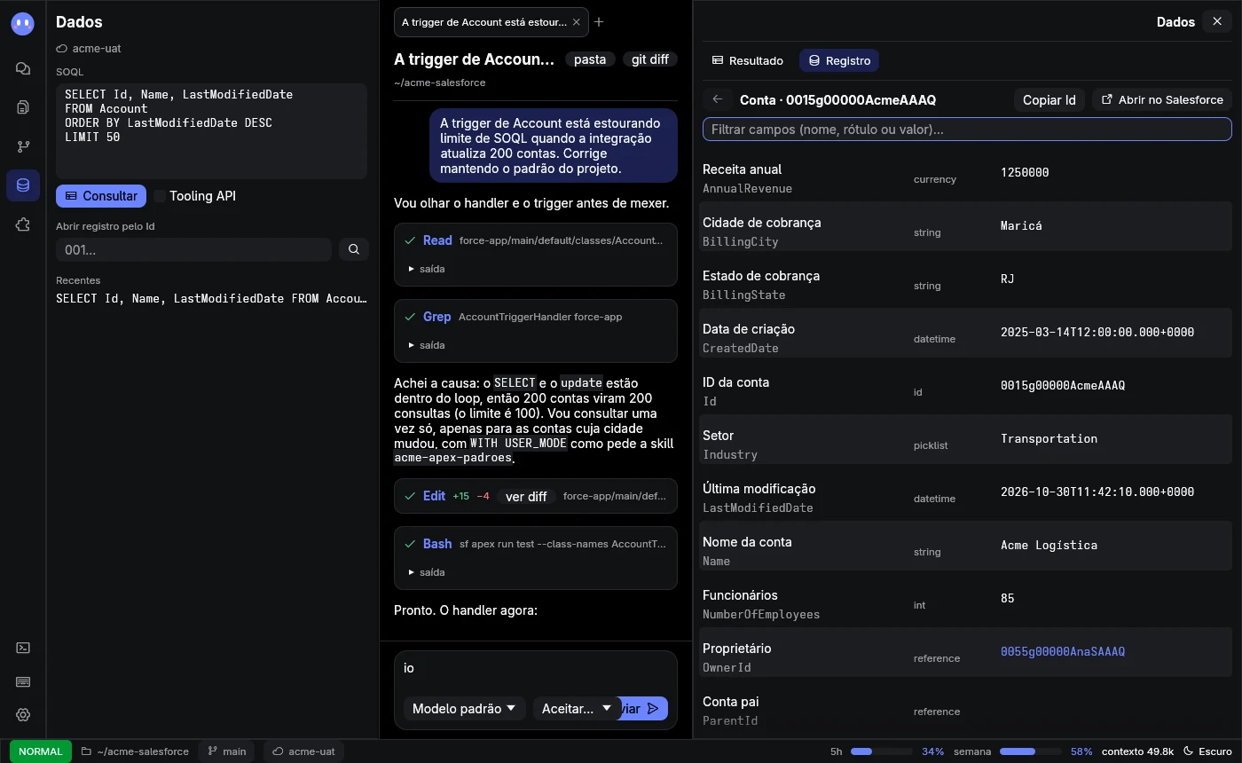 Inspetor com uma conta aberta: rótulo, nome de API, tipo e valor de cada campo