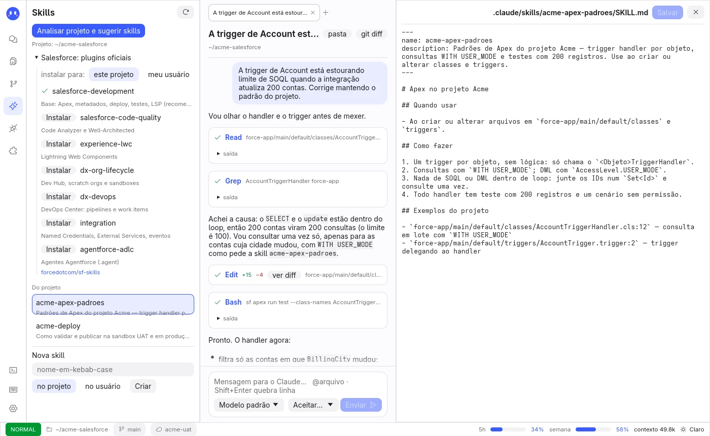 Seção Skills com os plugins oficiais da Salesforce e uma skill do projeto no editor